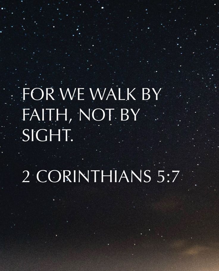 The Bible tweet media