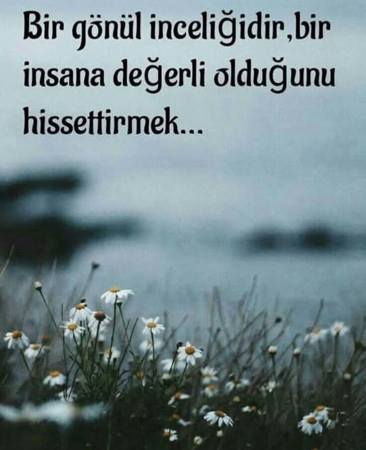 Salih Ağca tweet media