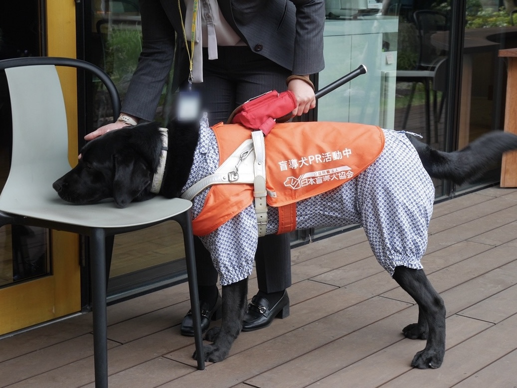 【公式】with盲導犬 tweet media