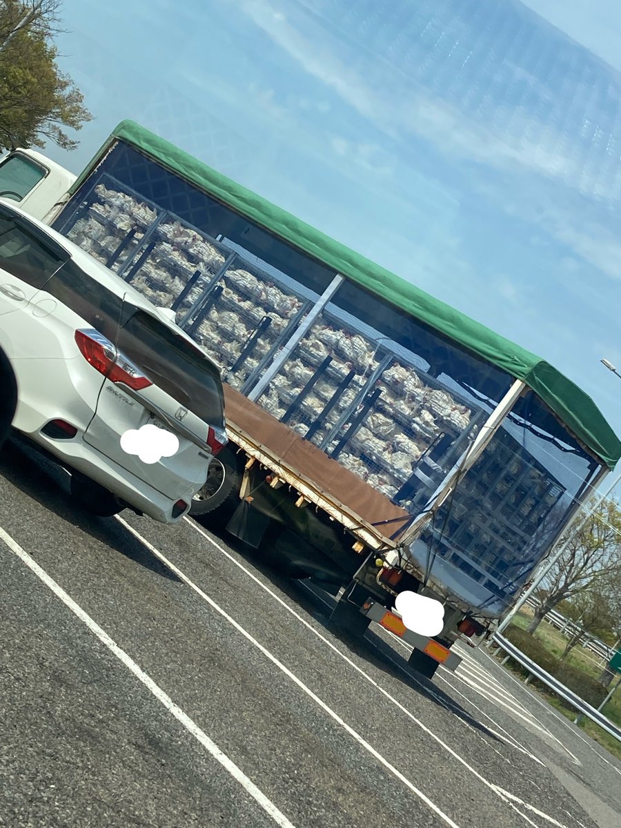 くるる tweet media