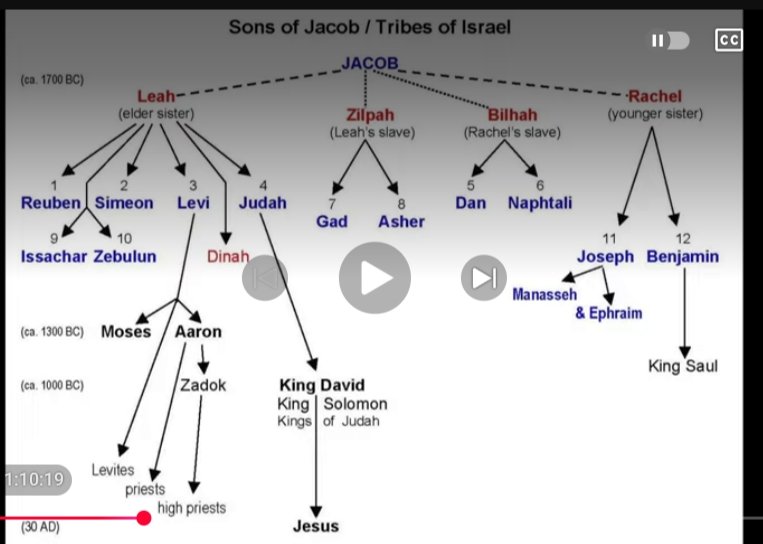 raději si nevšímejte příbuzenského šlechtění.