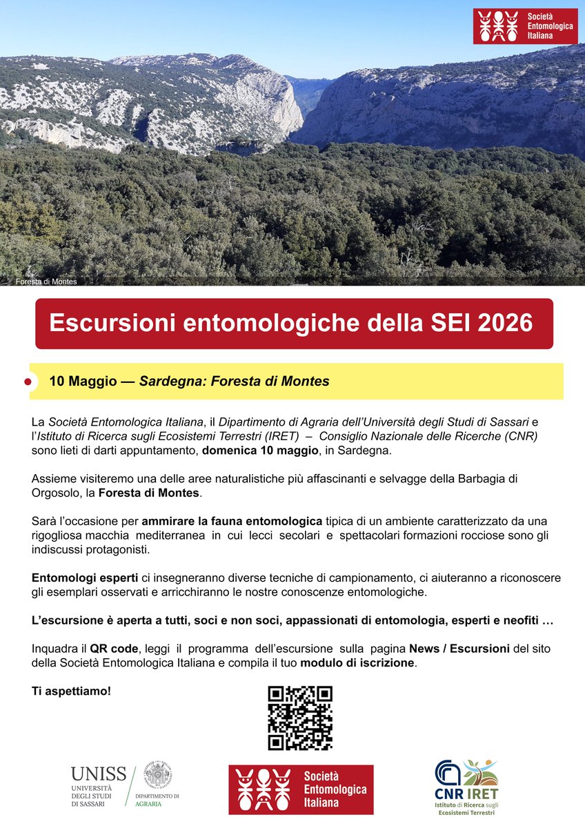 Cnr_Iret's tweet photo. 🌿 Escursione entomologica – 10 maggio 🐞

Unisciti a noi per una giornata alla scoperta della biodiversità e del mondo degli insetti!

📅 Domenica 10 maggio 2026
📍 Foresta di Montes (Sardegna)

👉 programma e iscrizione: https://t.co/736XSNfDca https://t.co/23bMlTYnzH