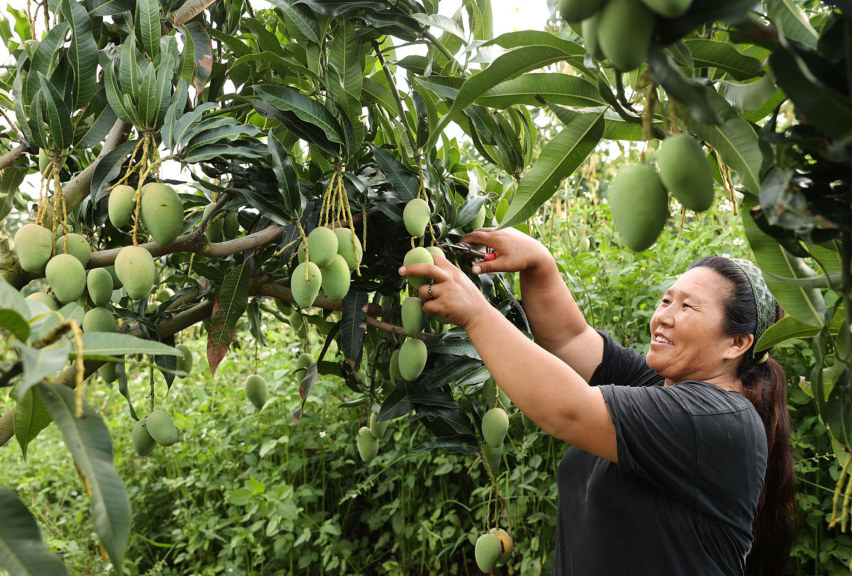 Shankar SP tweet media