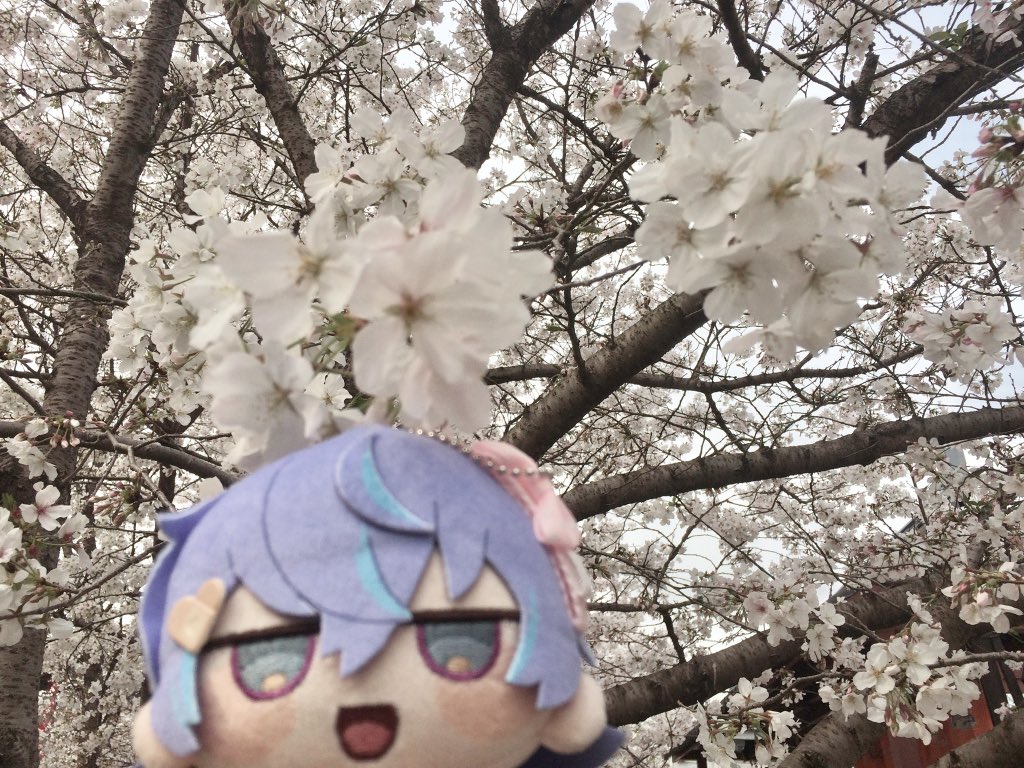 (ㆆωㆆ) tweet media