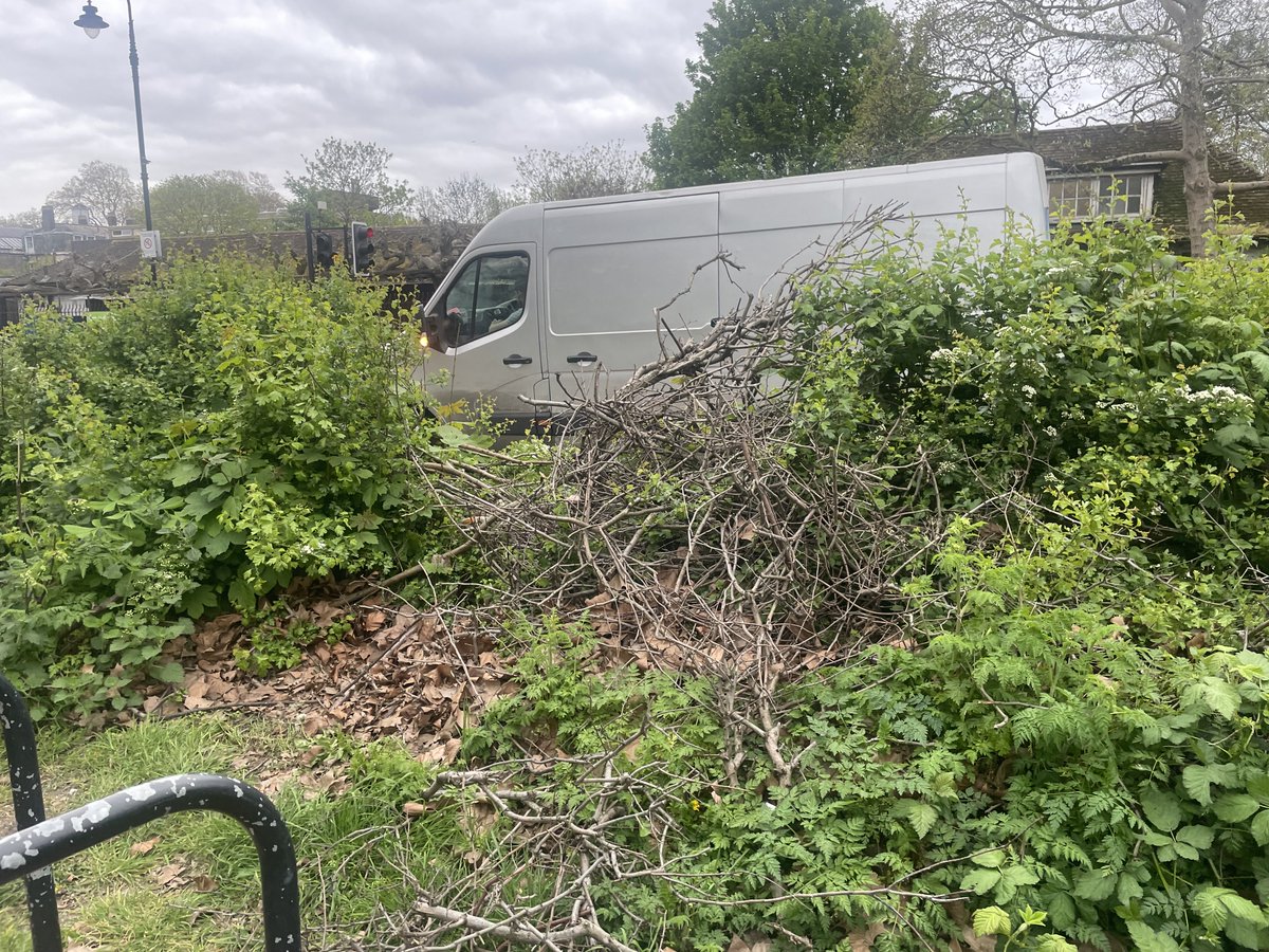 BoobyMcCririck's tweet image. Good Morning @theroyalparks Please could someone repair the vandalised hedge #next junction of Albert Terrace / Prince Albert Road + other areas in same hedge #PrimroseHill