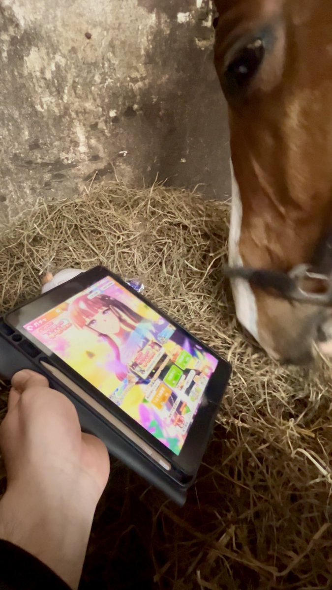 GOGOターボさん(ジャスティンターボ) tweet media