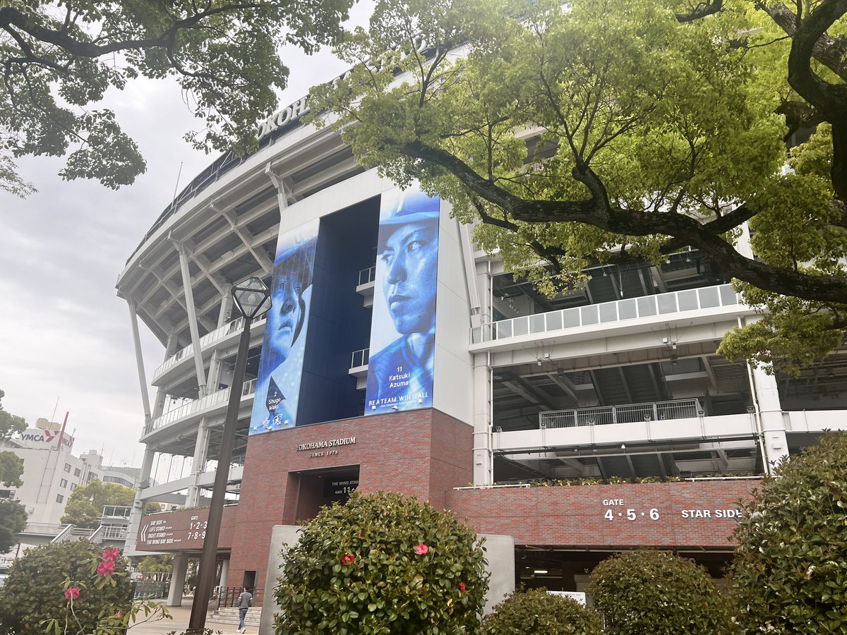 🌞テラメ🌞 tweet media