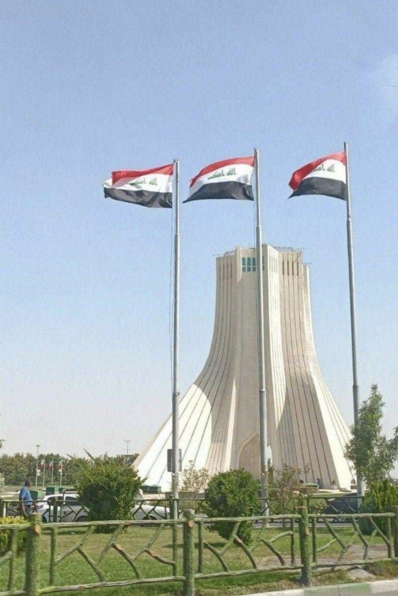 مستر امیر tweet media