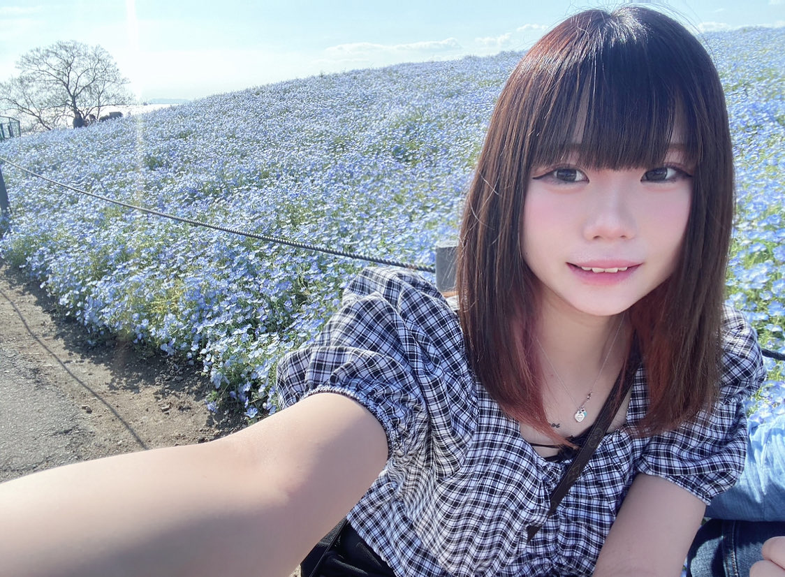 うずらまる。➰🧠 tweet media