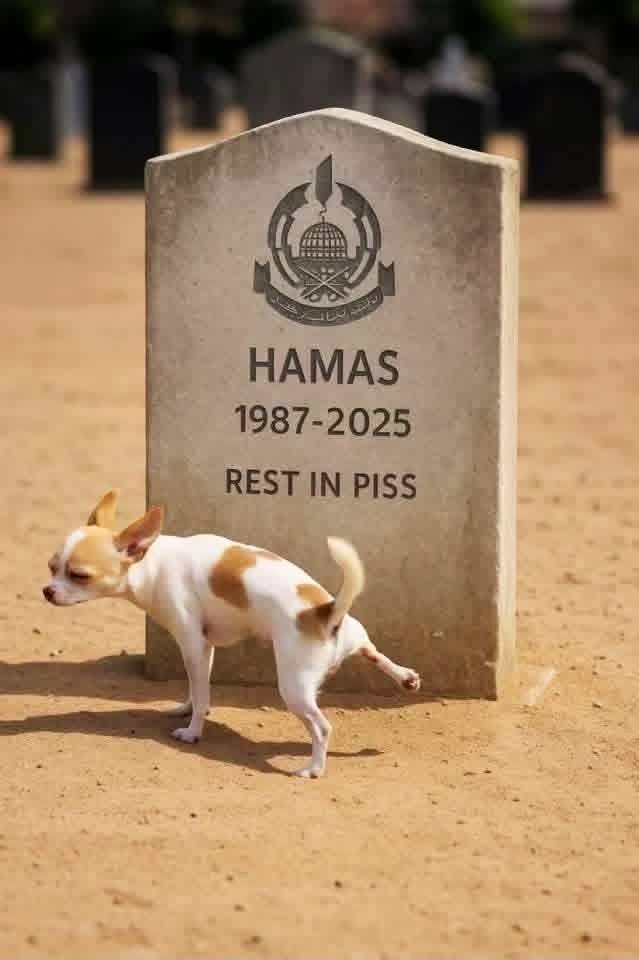 المستشار ندا الظـفيري tweet media