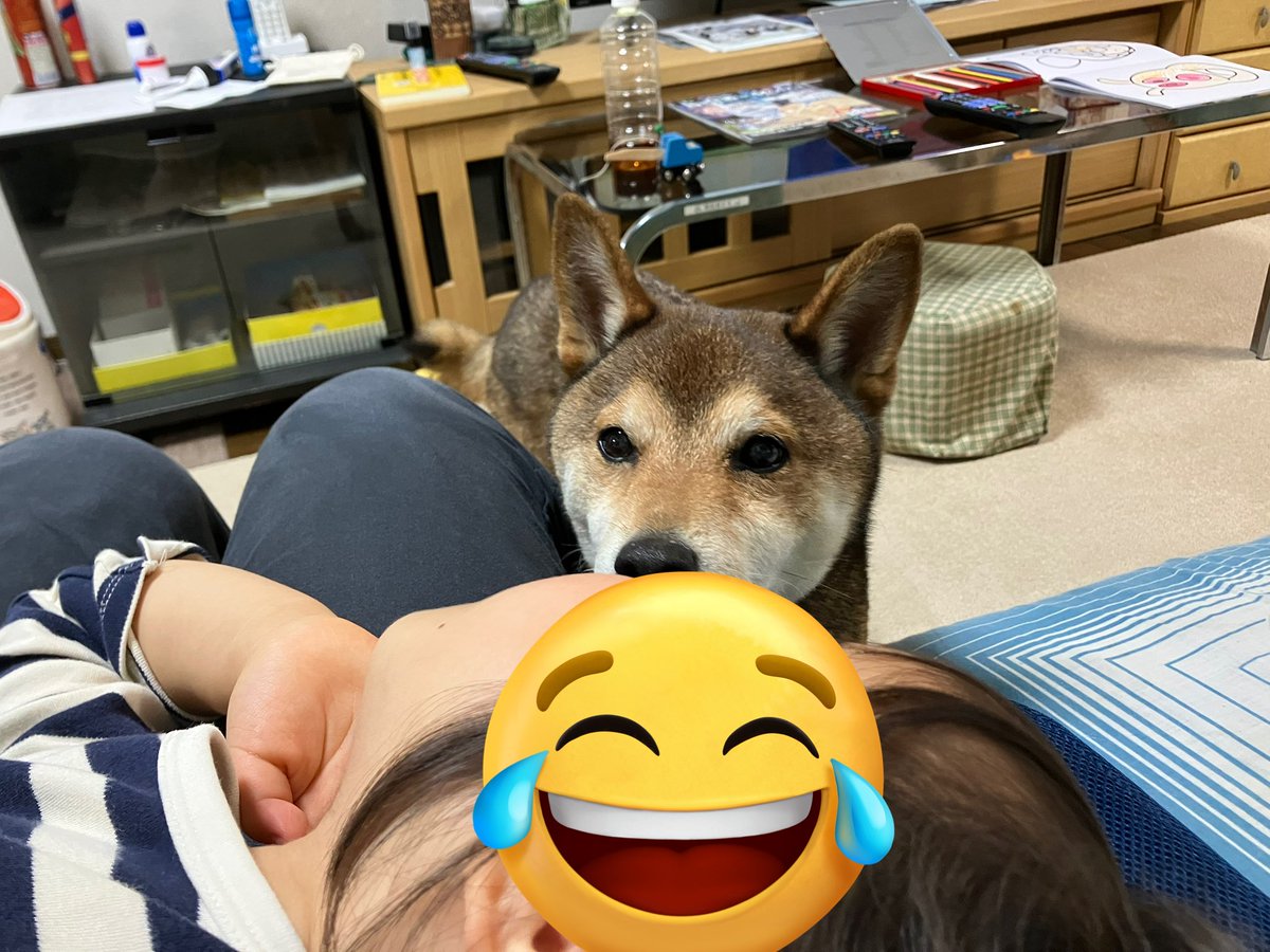 渋皮@へびマルシェ主催 tweet media