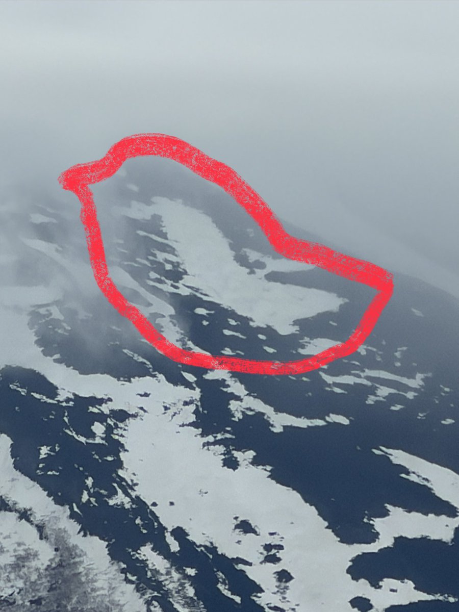 富士山コレクター大宮仁 tweet media