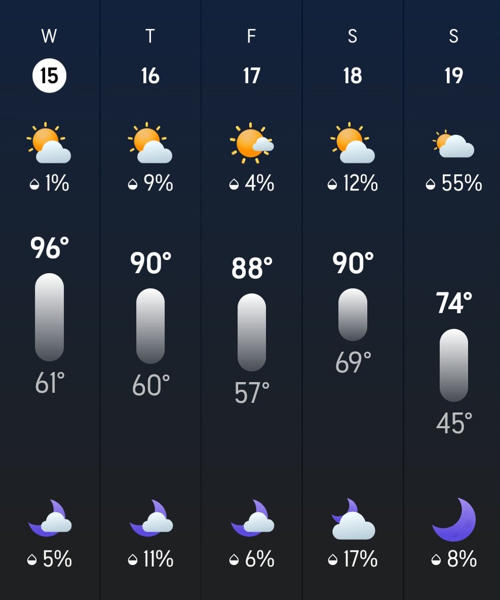 Sweet Carolina tweet media