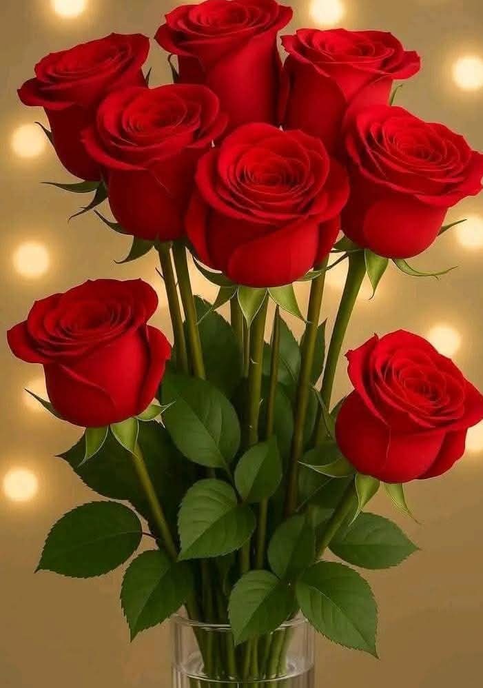 EliasBoulos20's tweet photo. @ElideGentile https://t.co/luiXfr5pdo