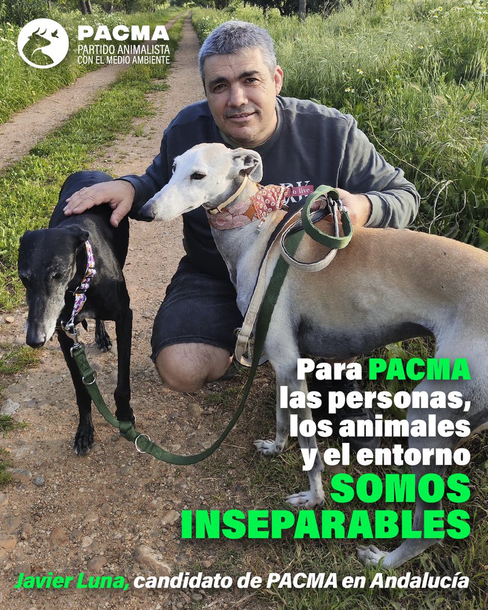 🌍Somos inseparables.

💚Las personas, los animales y el entorno formamos un todo indivisible. Por eso la política también debe tenerlos a todos en cuenta.

🟢PACMA es el único partido que lo hace. ¿Y tú?

👉Afíliate y ayúdanos a luchar por todos: pacma.es/afiliacion/