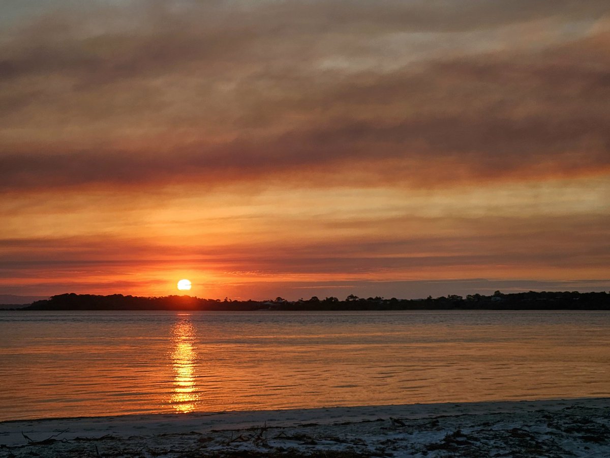 MillyCat 🌈 and RovyCat 🇦🇺 tweet media