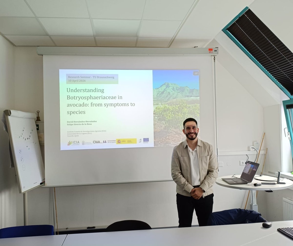 David Hernández tweet media