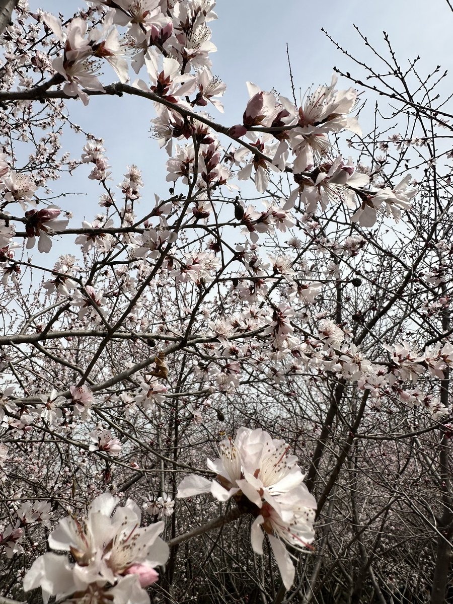 히에🦁리키🍓 - RICKY REDEBUT 🎉 tweet media