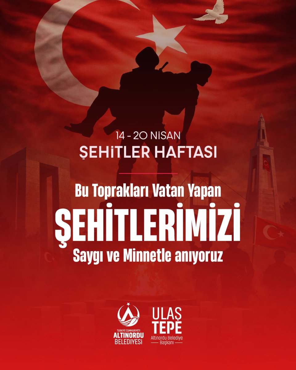 Ulaş TEPE tweet media