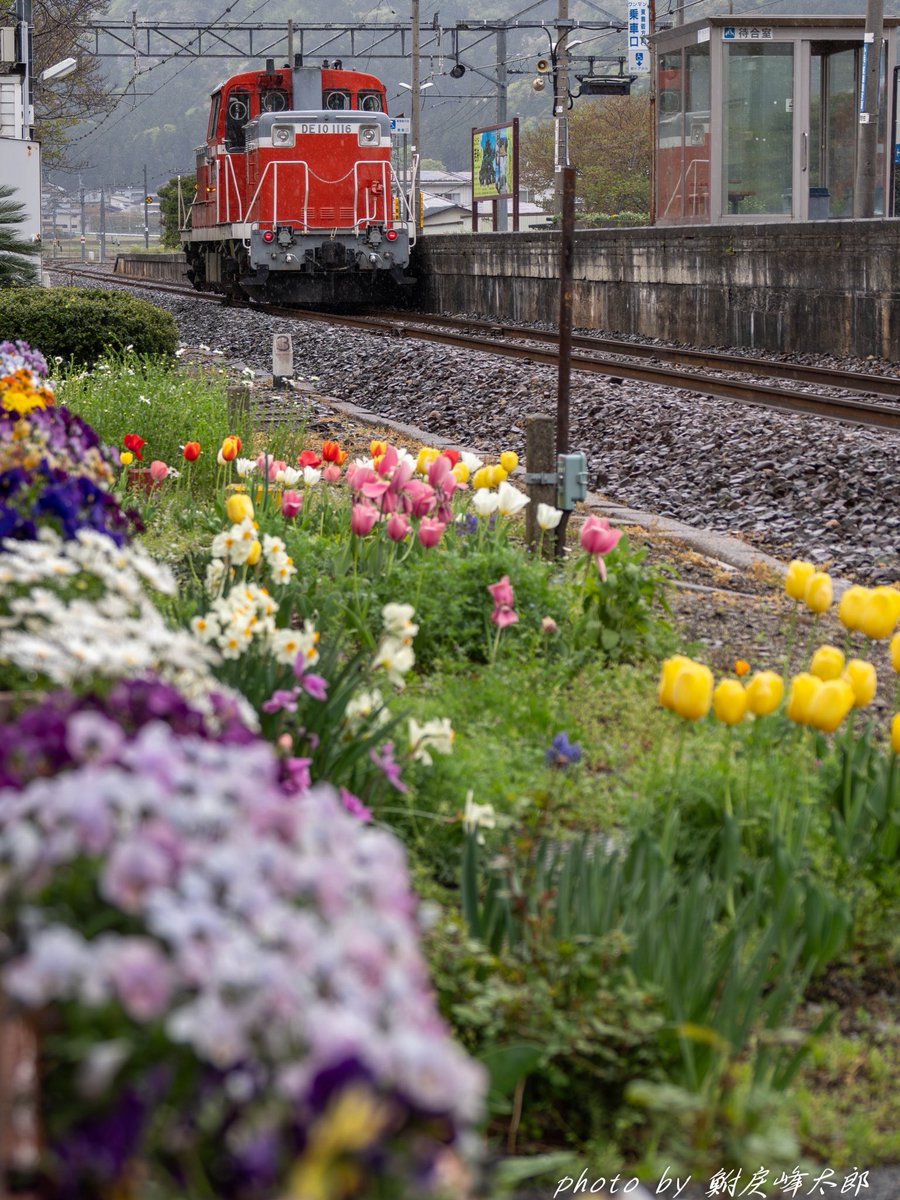 鮒戻峰太郎 tweet media