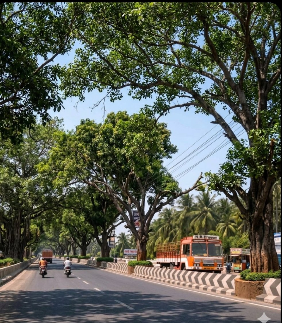 Arc Hamzee🗯 tweet media