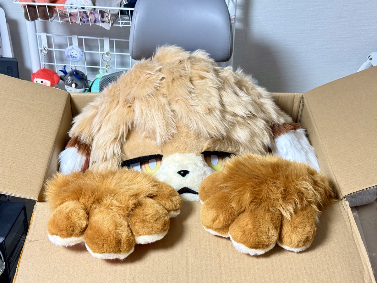 Dangs 🔜 5.16 부코 tweet media