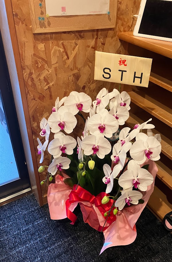 soundstudiok's tweet photo. スタジオのリニューアル祝いで、
電気屋さんが胡蝶蘭を届けてくれた。
OSBの壁に白が映える。
#スタジオ #リニューアル #胡蝶蘭　#DIY ＃小山市
#栃木県 #VTuber #歌ってみた #宅録
#DTM #ボカロP #配信環境 https://t.co/h81gFiuPw3