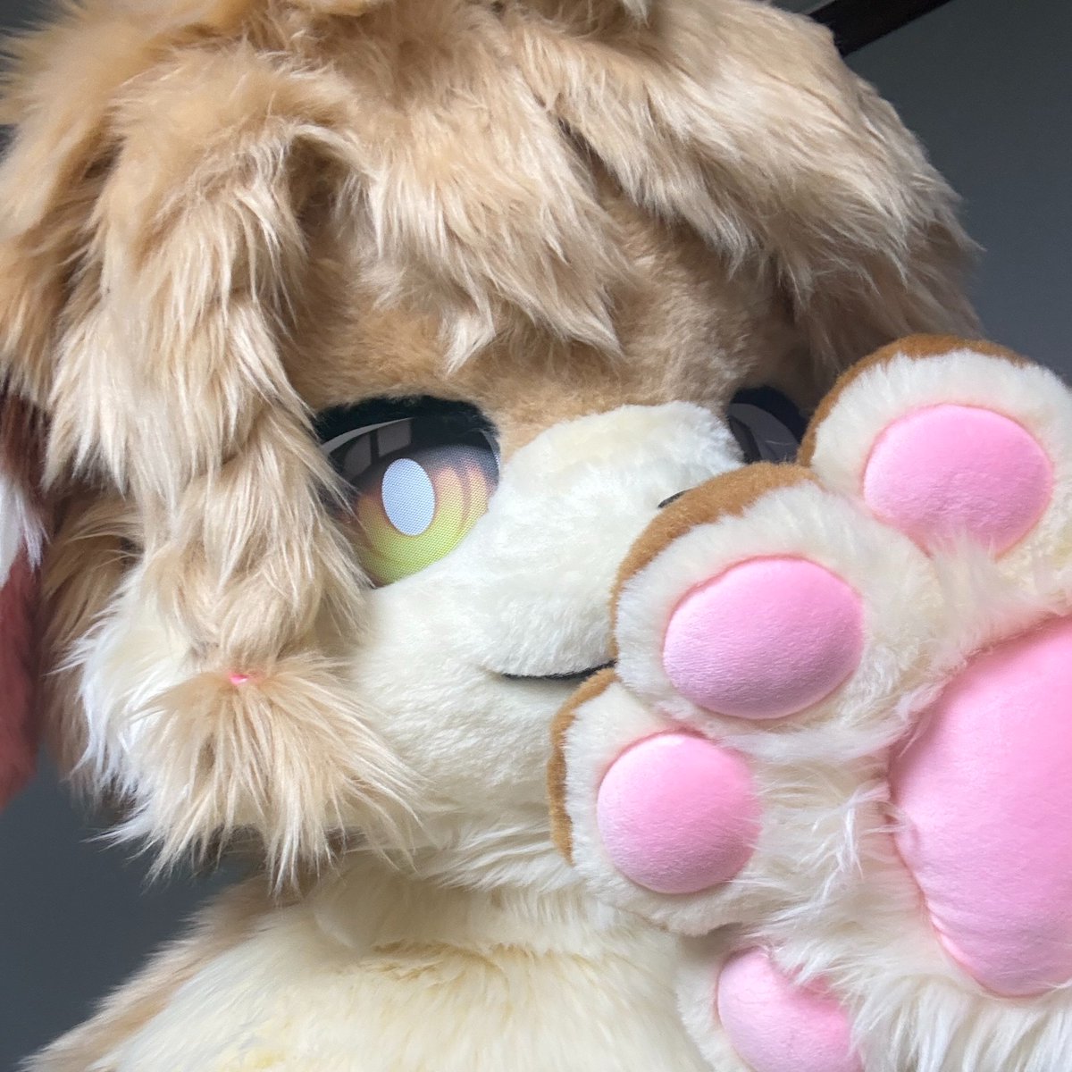 Dangs 🔜 5.16 부코 tweet media