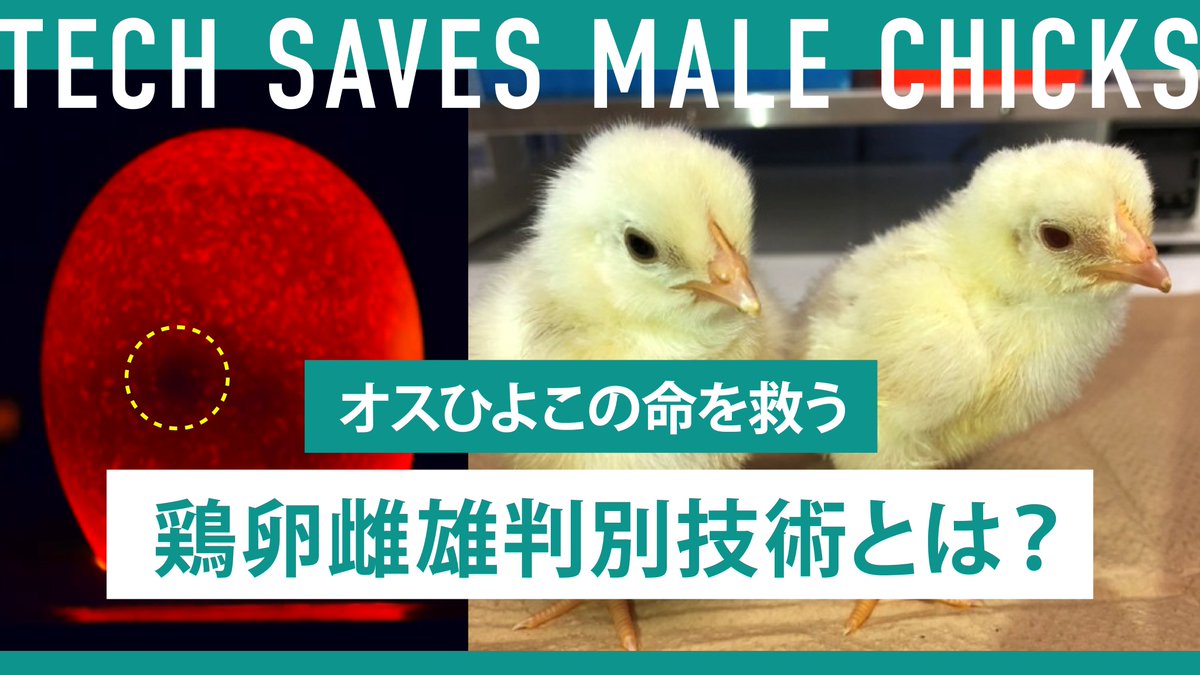 株式会社セツロテック【公式】 tweet media