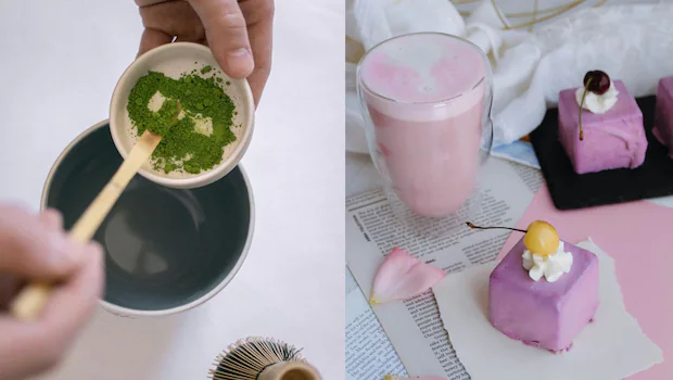 NDTVFood's tweet photo. Why Everyone Is Obsessed With Matcha Lattes And Ube Cheesecakes In 2026
https://t.co/h5JMzMdolg
#matchalattes #cheesecake #food https://t.co/ndhcN99C4j