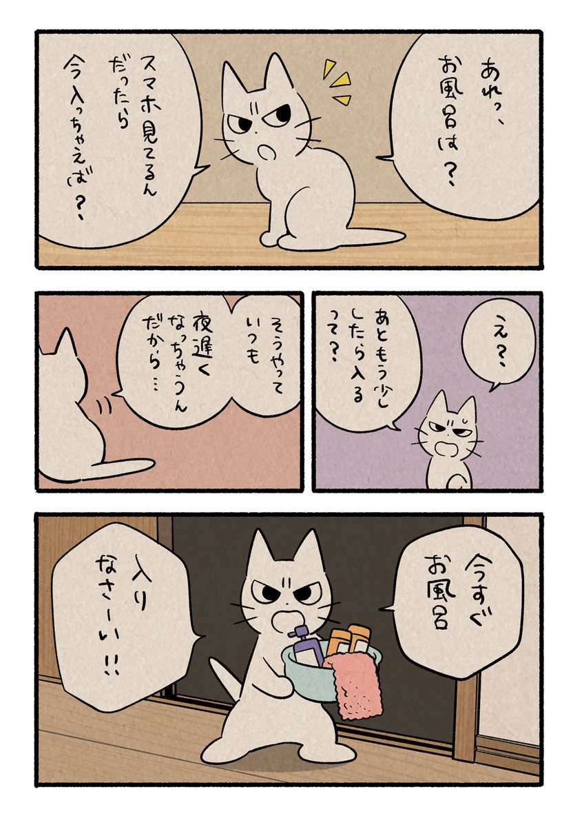 しかるねこ tweet media