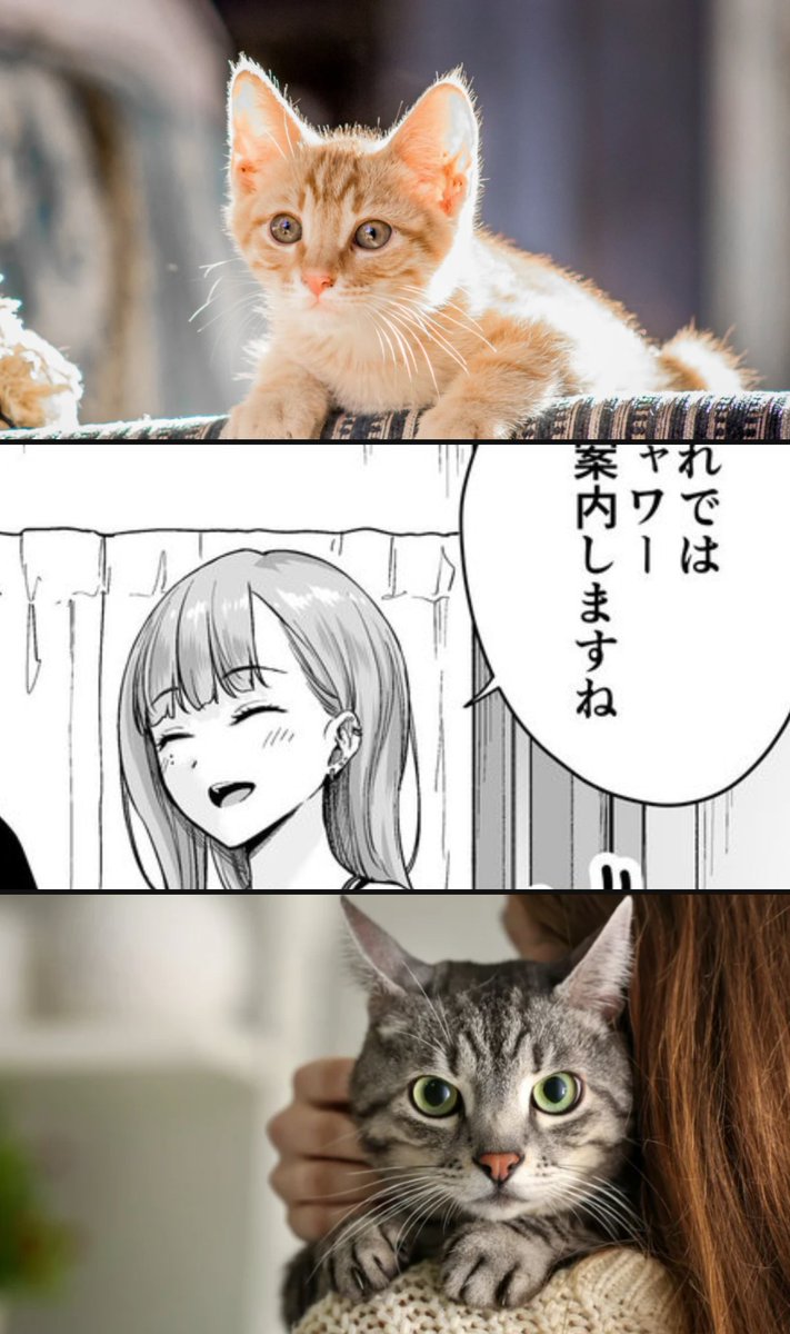 マドモアゼル tweet media