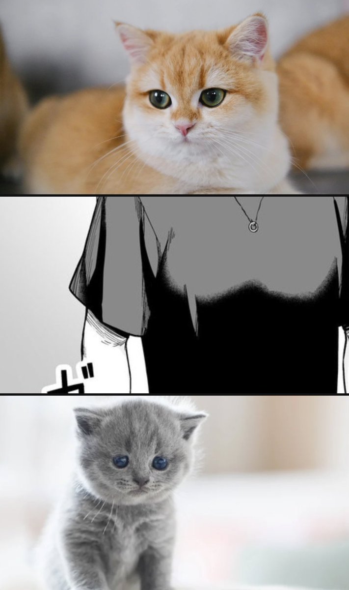 マドモアゼル tweet media