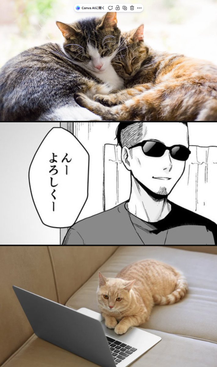 マドモアゼル tweet media