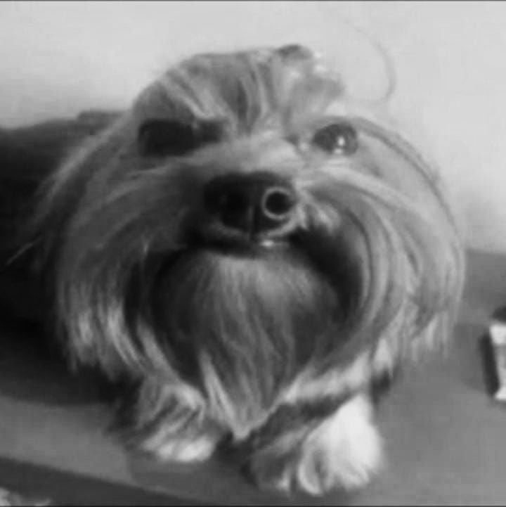 cfers podem me da sb pfv nao quero ve nada d vcs se nao Vo fica c vmtd d volta