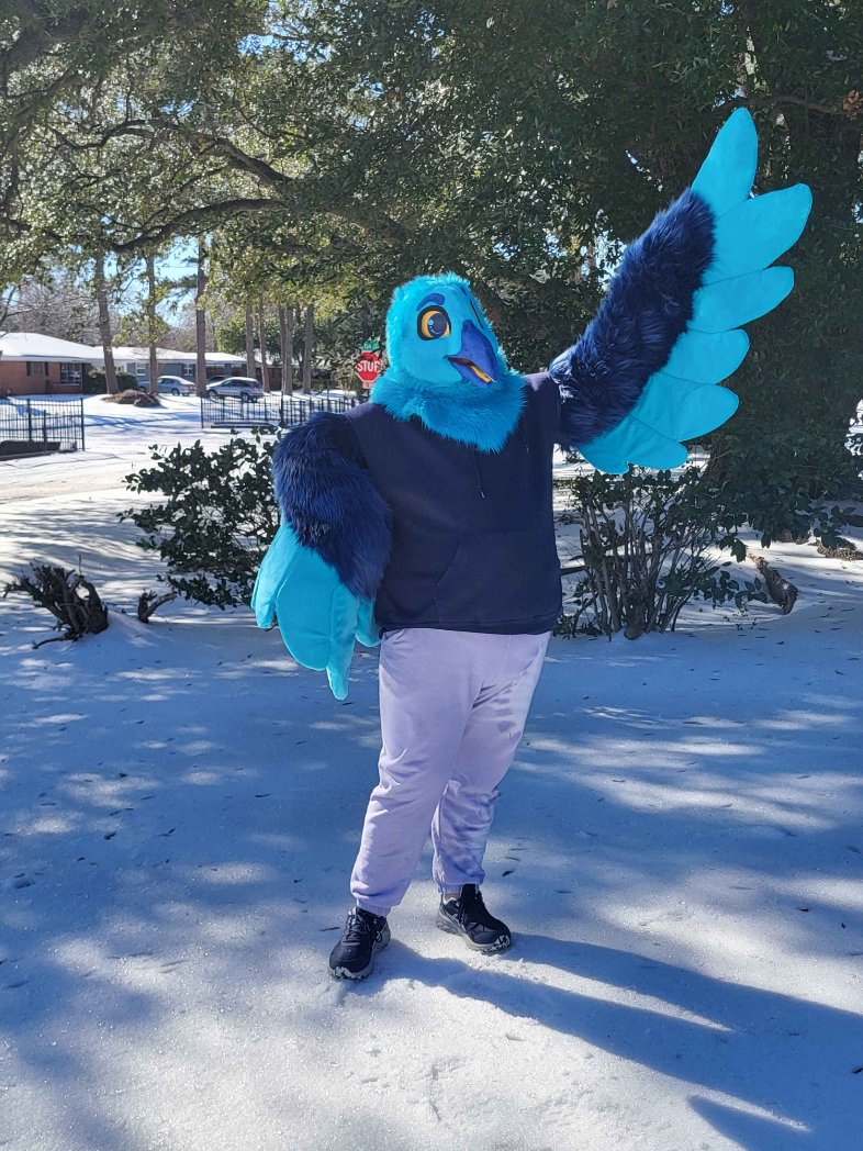 Fursuit Review tweet media