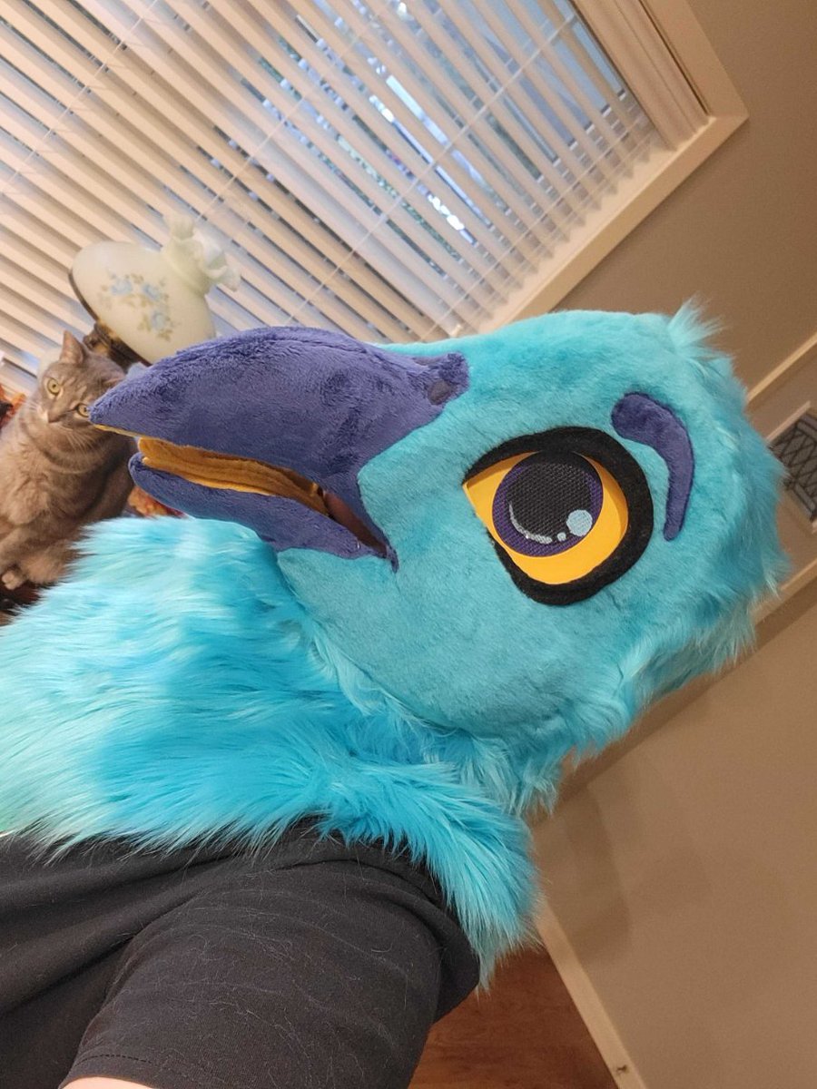 Fursuit Review tweet media