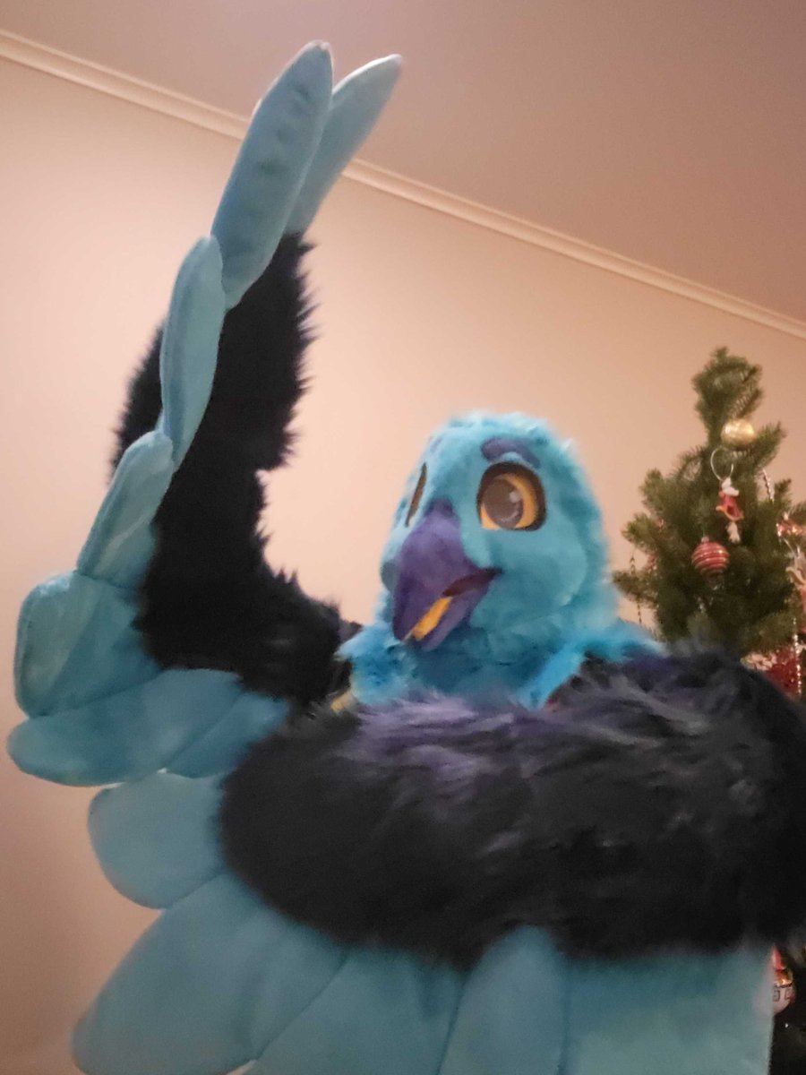 Fursuit Review tweet media