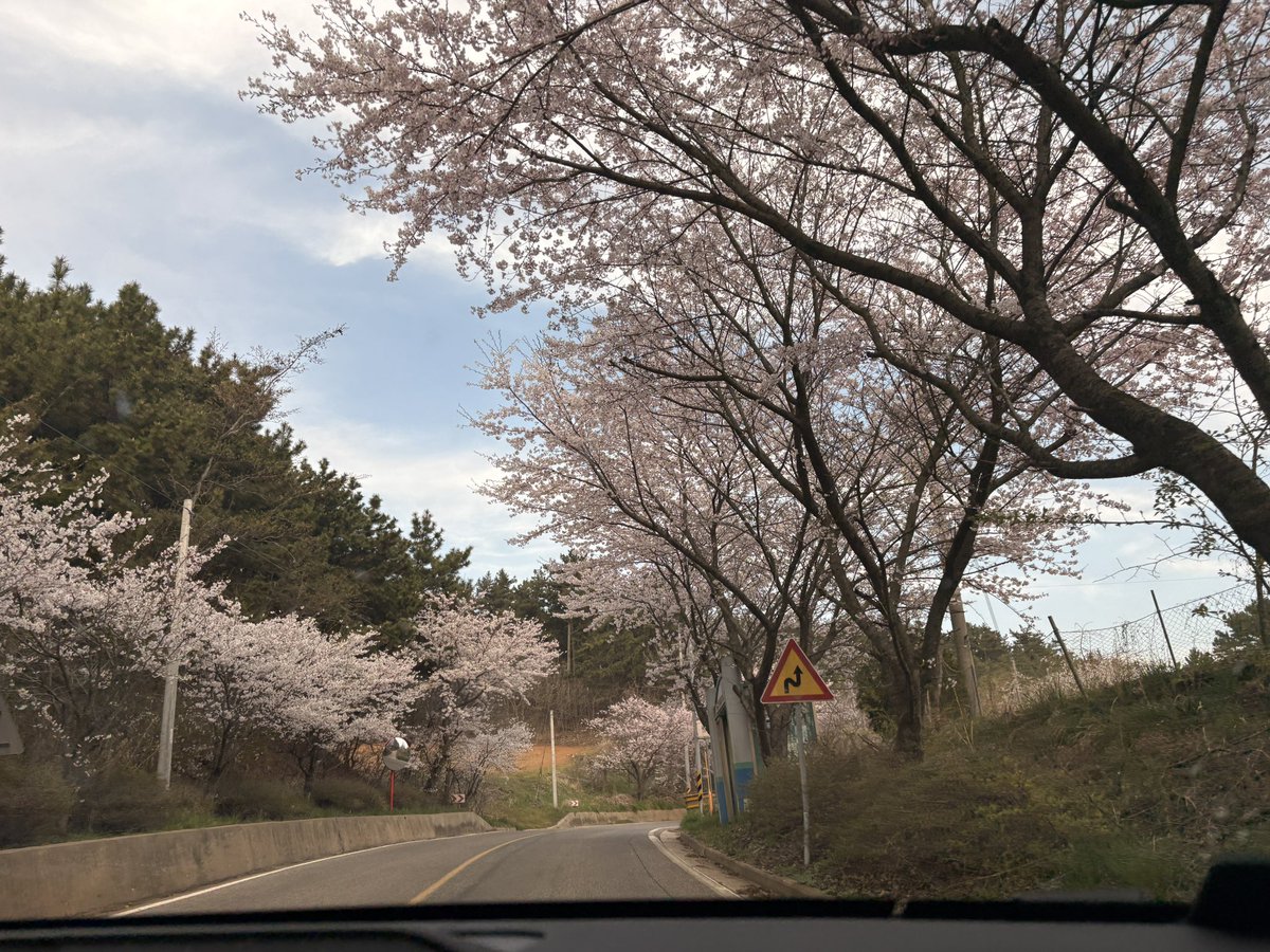 조우람 🍑 tweet media