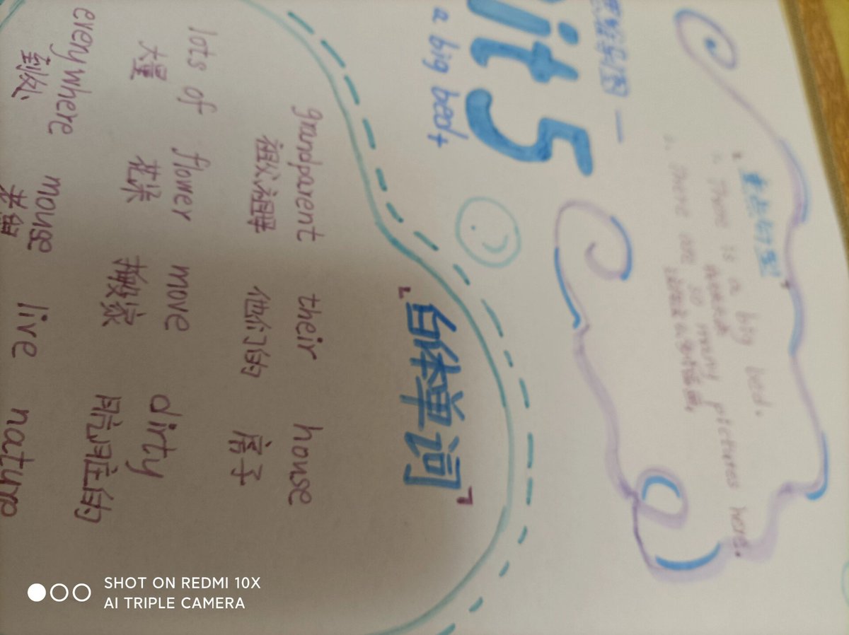 Lourenco Miguel tweet media