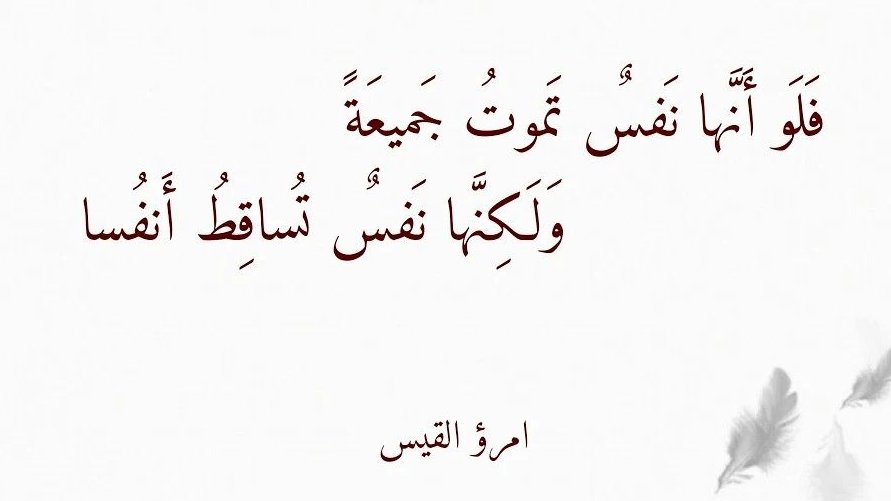 بيت شعر عربي كل يوم tweet media