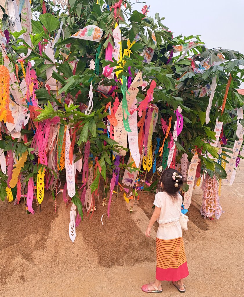 TinyBirb🐦 tweet media
