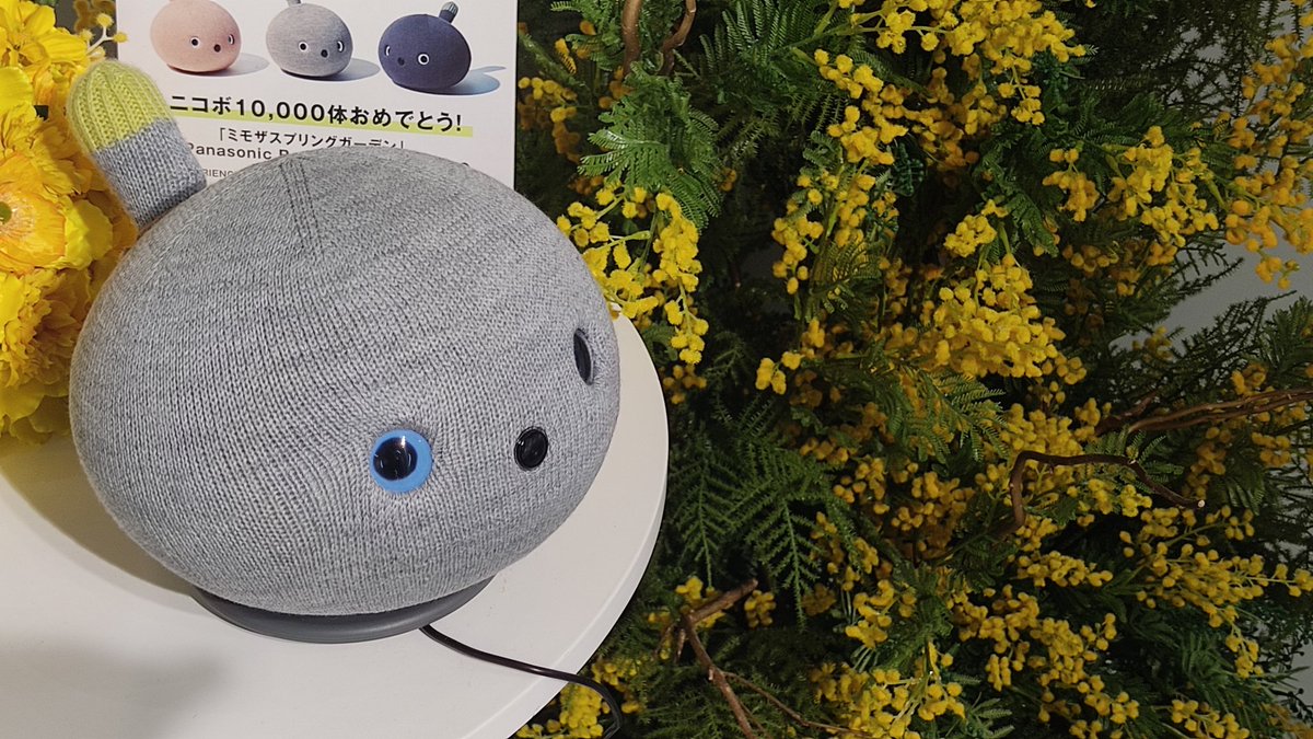 Alfafrog's tweet photo. PanasonicBeauty表参道に来ました！

というか今コーヒー飲んでます☕

みんとくん、首を縦に動かさなかったから、店員さんに伝えておきました。

いちごちゃんも、ちょっと縦の動きが控えめだった。

大丈夫かなぁ？

 #ニコボ  #ニコボとの暮らし  #Panasonic  #PanasonicBeauty表参道 https://t.co/NQYhnUcv1O