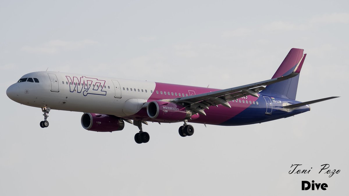 𝕋𝕆ℕ𝕀 ℙ𝕆ℤ𝕆 tweet media