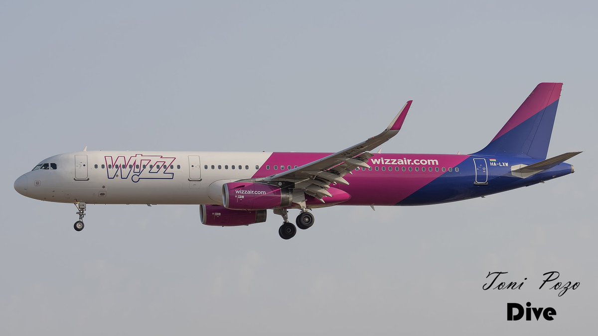 𝕋𝕆ℕ𝕀 ℙ𝕆ℤ𝕆 tweet media