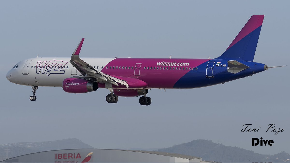 𝕋𝕆ℕ𝕀 ℙ𝕆ℤ𝕆 tweet media