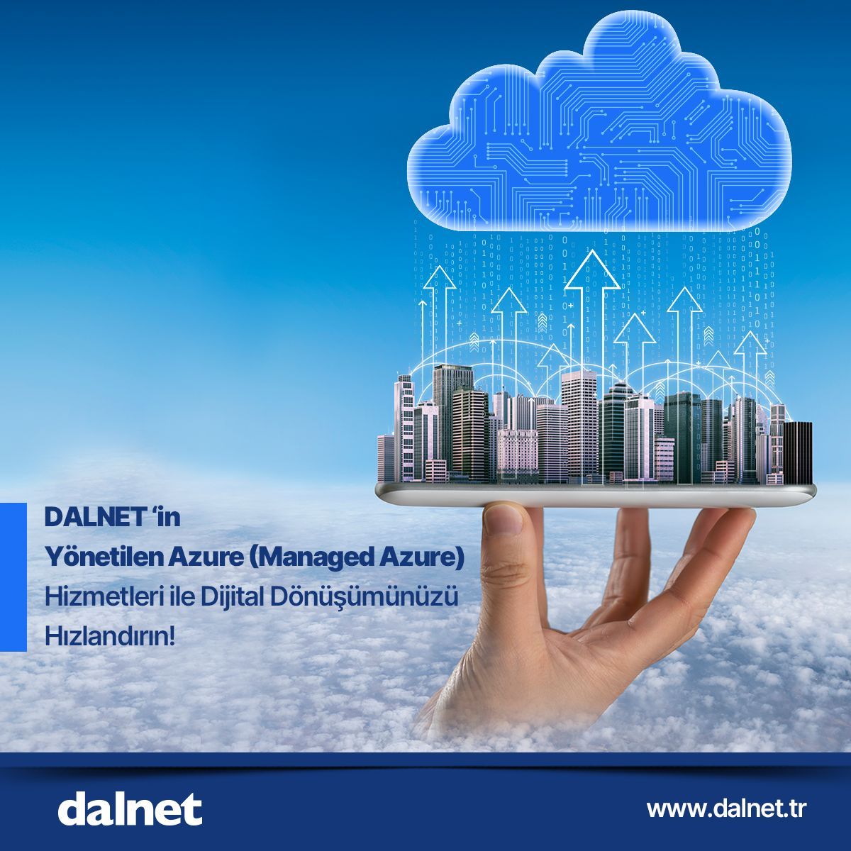 dalnettr tweet media