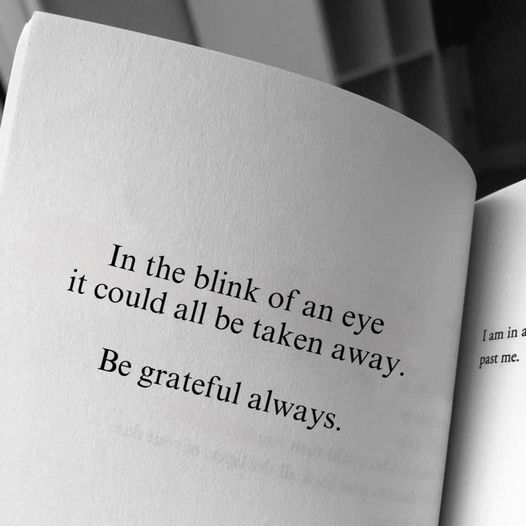 Mindful Maven tweet media