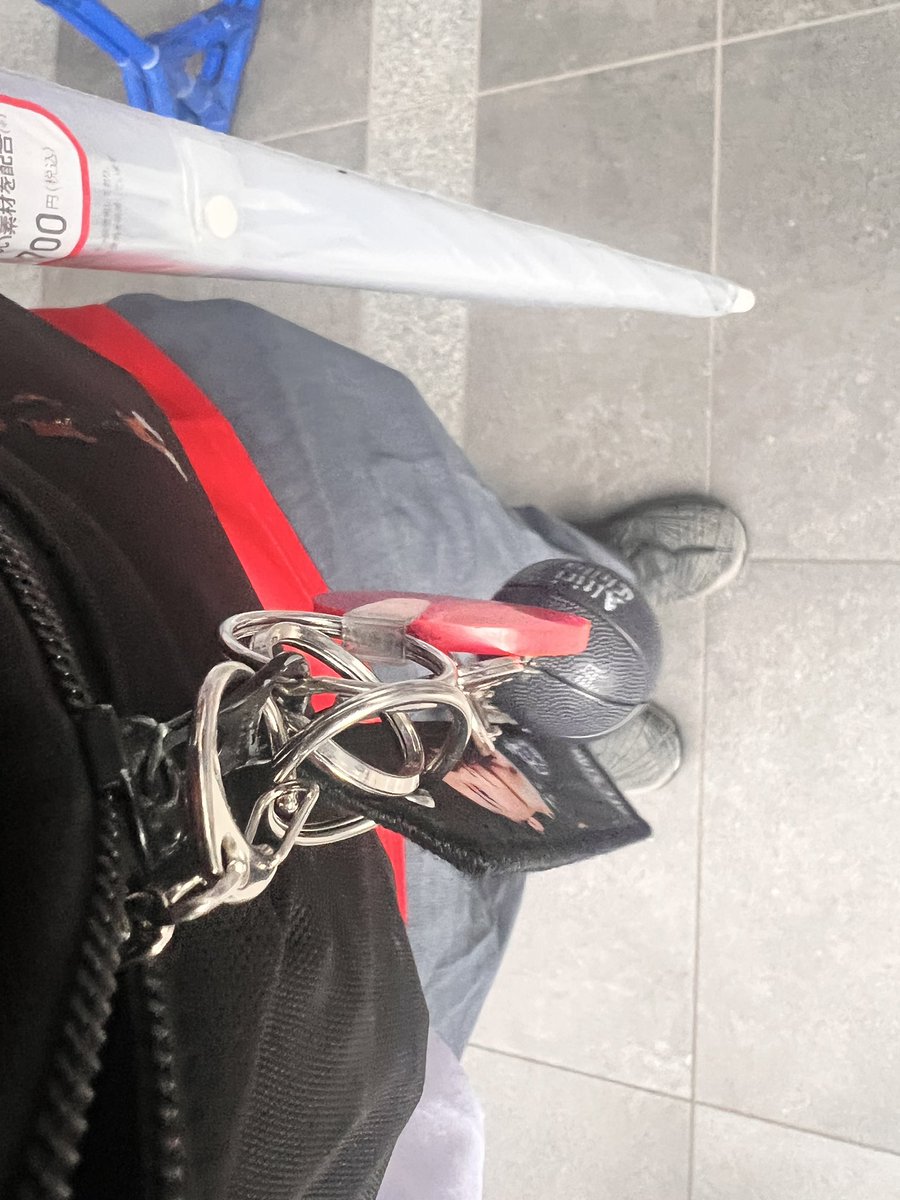 🌞テラメ🌞 tweet media