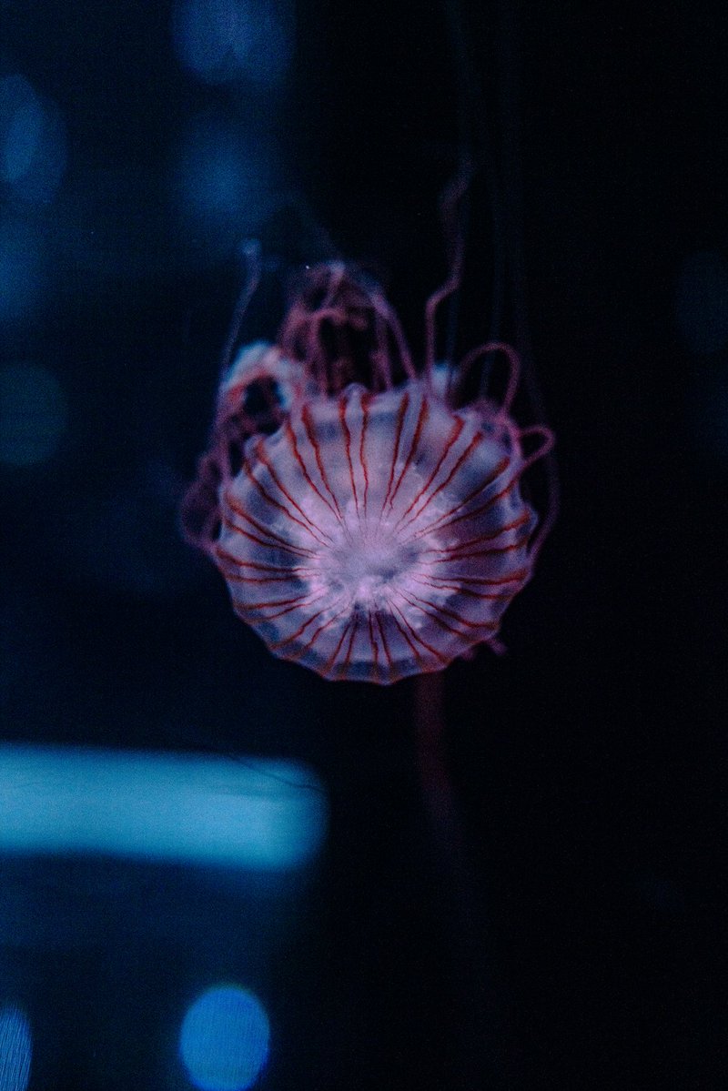 あいお tweet media